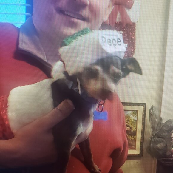 The Pepe' Animal Foundation !!!! 8/21 - Picture 4 of 16